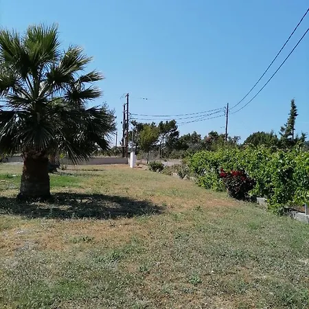 Katerina In * Kiotari